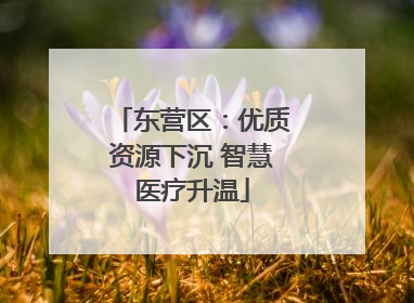 东营区：优质资源下沉 智慧医疗升温