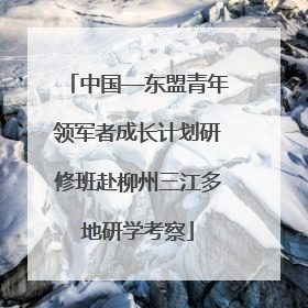 中国—东盟青年领军者成长计划研修班赴柳州三江多地研学考察