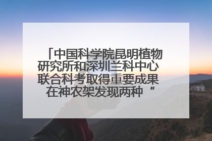 中国科学院昆明植物研究所和深圳兰科中心联合科考取得重要成果 在神农架发现两种“国保”级兰花