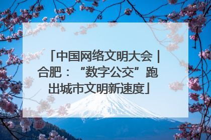 中国网络文明大会｜合肥：“数字公交”跑出城市文明新速度