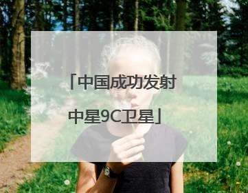 中国成功发射中星9C卫星
