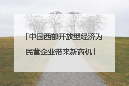 中国西部开放型经济为民营企业带来新商机