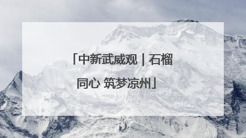 中新武威观｜石榴同心 筑梦凉州