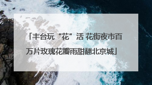 丰台玩“花”活 花街夜市百万片玫瑰花瓣雨甜翻北京城