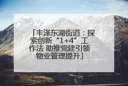丰泽东湖街道：探索创新“1+4”工作法 助推党建引领物业管理提升