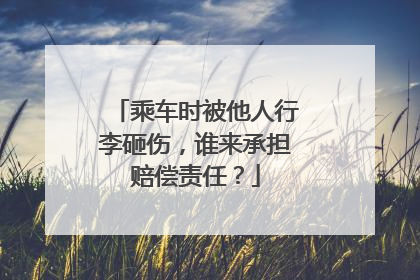 乘车时被他人行李砸伤，谁来承担赔偿责任？