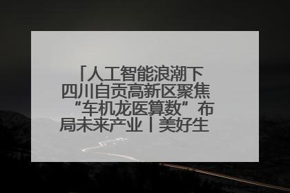 人工智能浪潮下 四川自贡高新区聚焦“车机龙医算数”布局未来产业丨美好生活有“盐”味