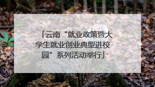 云南“就业政策暨大学生就业创业典型进校园”系列活动举行