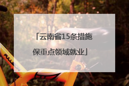 云南省15条措施保重点领域就业
