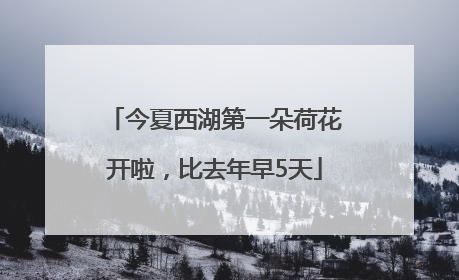 今夏西湖第一朵荷花开啦，比去年早5天