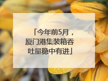 今年前5月，厦门港集装箱吞吐量稳中有进