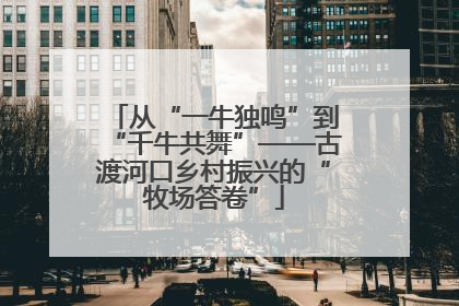 从“一牛独鸣”到“千牛共舞”——古渡河口乡村振兴的“牧场答卷”