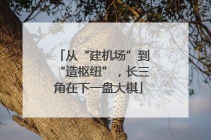 从“建机场”到“造枢纽”，长三角在下一盘大棋