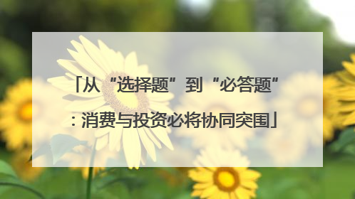 从“选择题”到“必答题”：消费与投资必将协同突围