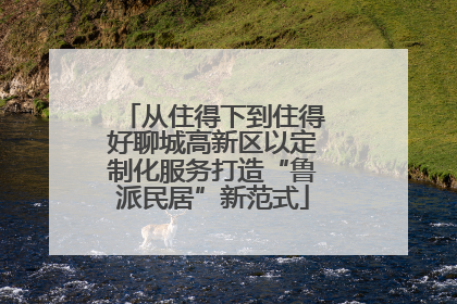 从住得下到住得好聊城高新区以定制化服务打造“鲁派民居”新范式