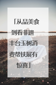从品美食到看非遗 丰台玉树消费帮扶展有惊喜