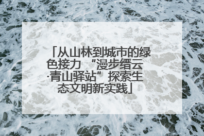 从山林到城市的绿色接力 “漫步缙云·青山驿站”探索生态文明新实践