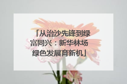 从治沙先锋到绿富同兴：新华林场绿色发展育新机