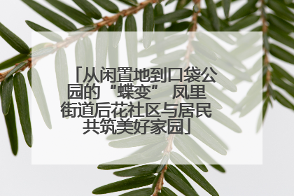 从闲置地到口袋公园的“蝶变” 凤里街道后花社区与居民共筑美好家园
