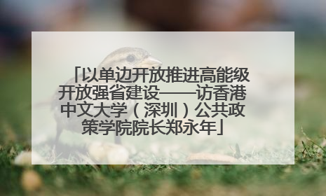以单边开放推进高能级开放强省建设——访香港中文大学（深圳）公共政策学院院长郑永年