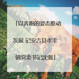 以奔跑的姿态推动发展 记安吉县孝丰镇党委书记沈强