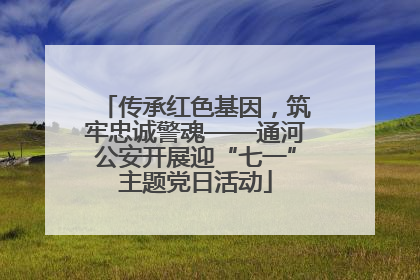 传承红色基因，筑牢忠诚警魂——通河公安开展迎“七一”主题党日活动