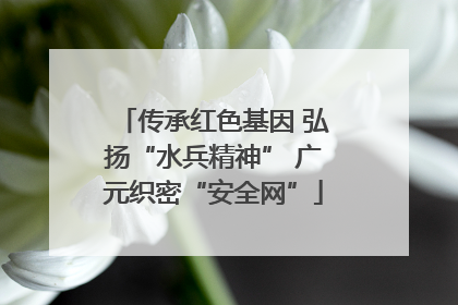 传承红色基因 弘扬“水兵精神” 广元织密“安全网”