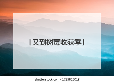 又到树莓收获季