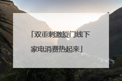 双重刺激厦门线下家电消费热起来