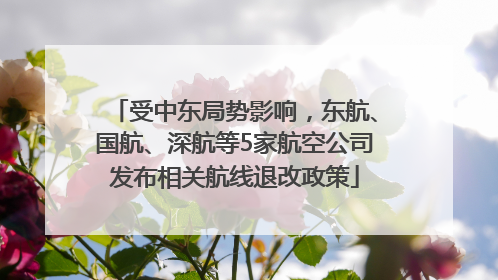 受中东局势影响，东航、国航、深航等5家航空公司发布相关航线退改政策