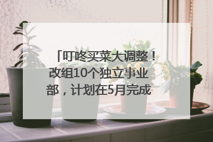 叮咚买菜大调整！改组10个独立事业部，计划在5月完成App端全面改版