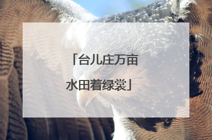 台儿庄万亩水田着绿裳