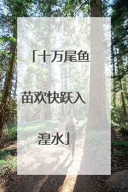 十万尾鱼苗欢快跃入湟水