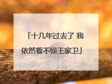 十几年过去了 我依然看不懂王家卫