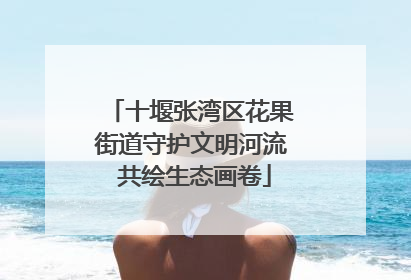 十堰张湾区花果街道守护文明河流 共绘生态画卷
