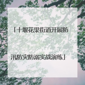 十堰花果街道开展防汛防灾防溺实战演练