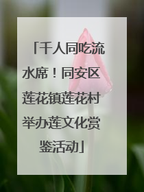 千人同吃流水席！同安区莲花镇莲花村举办莲文化赏鉴活动
