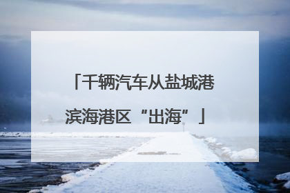 千辆汽车从盐城港滨海港区“出海”
