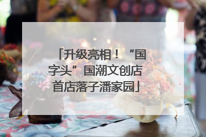 升级亮相！“国字头”国潮文创店首店落子潘家园