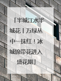 半城江水半城花丨万绿丛中一抹红！冰城锦带花进入盛花期