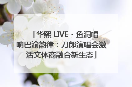 华熙 LIVE・鱼洞唱响巴渝韵律：刀郎演唱会激活文体商融合新生态