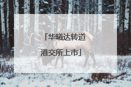 华曦达转道港交所上市