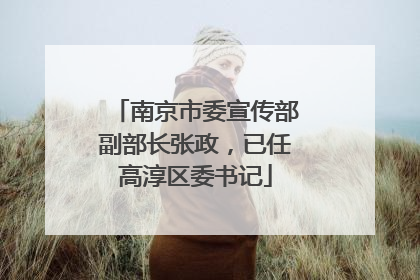 南京市委宣传部副部长张政，已任高淳区委书记