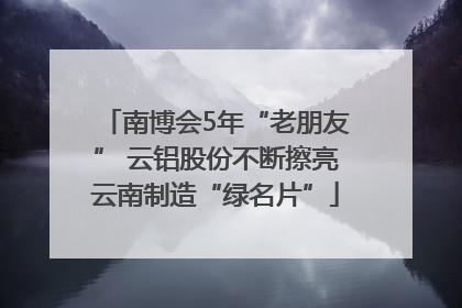 南博会5年“老朋友” 云铝股份不断擦亮云南制造“绿名片”