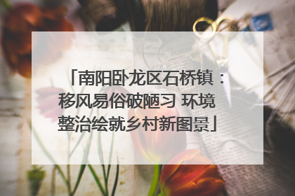 南阳卧龙区石桥镇：移风易俗破陋习 环境整治绘就乡村新图景