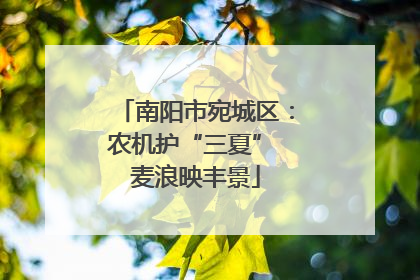 南阳市宛城区：农机护“三夏” 麦浪映丰景