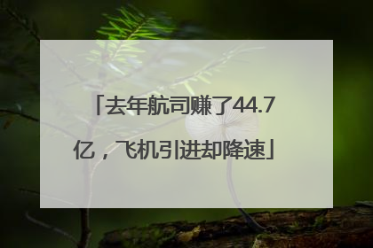 去年航司赚了44.7亿，飞机引进却降速