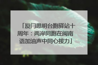 厦门思明台胞驿站十周年：两岸同胞在闽南语加油声中同心接力