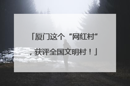 厦门这个“网红村”，获评全国文明村！