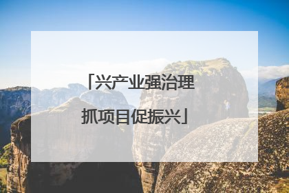 兴产业强治理 抓项目促振兴